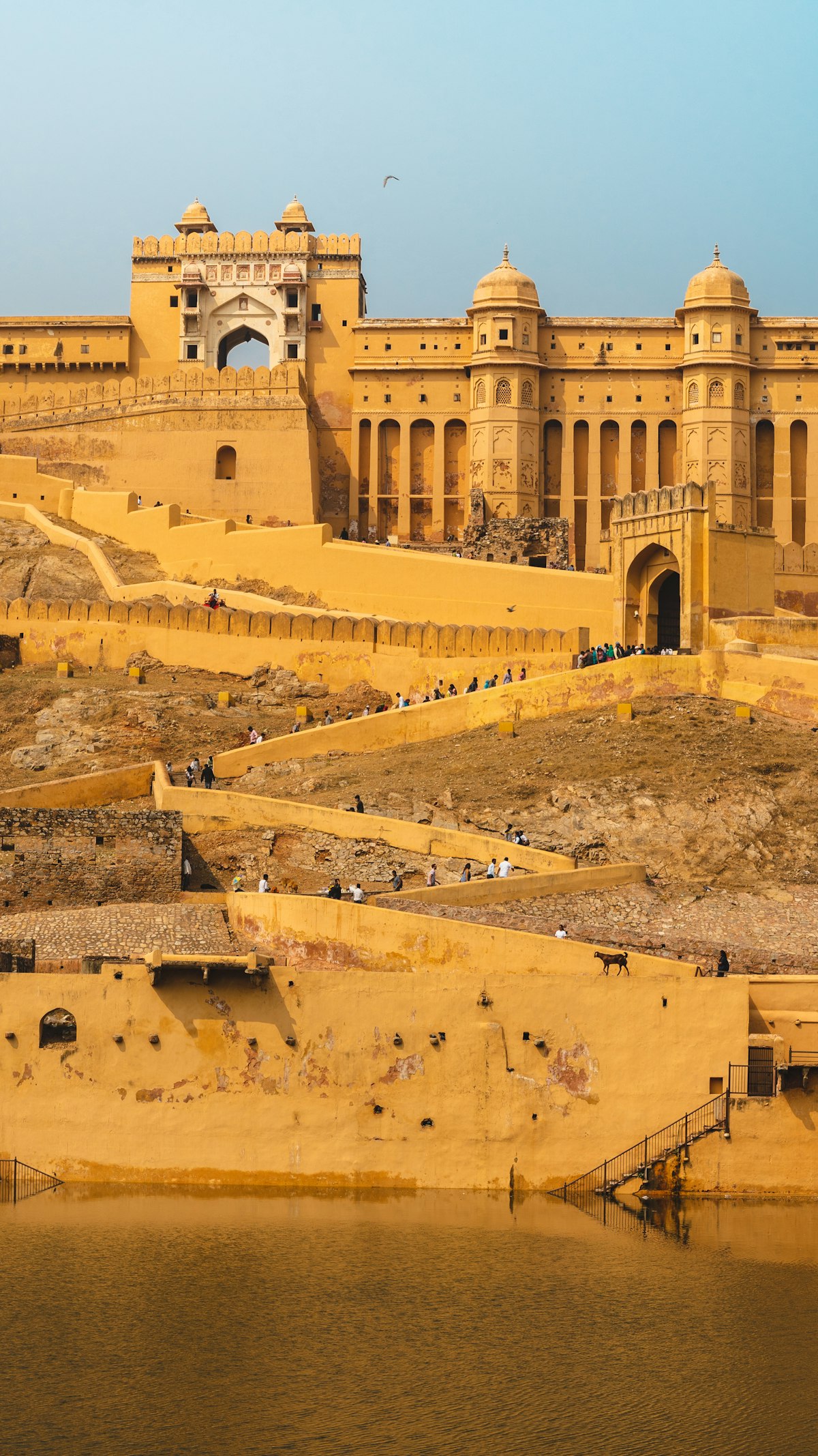 Amber Fort rising above Jaipur